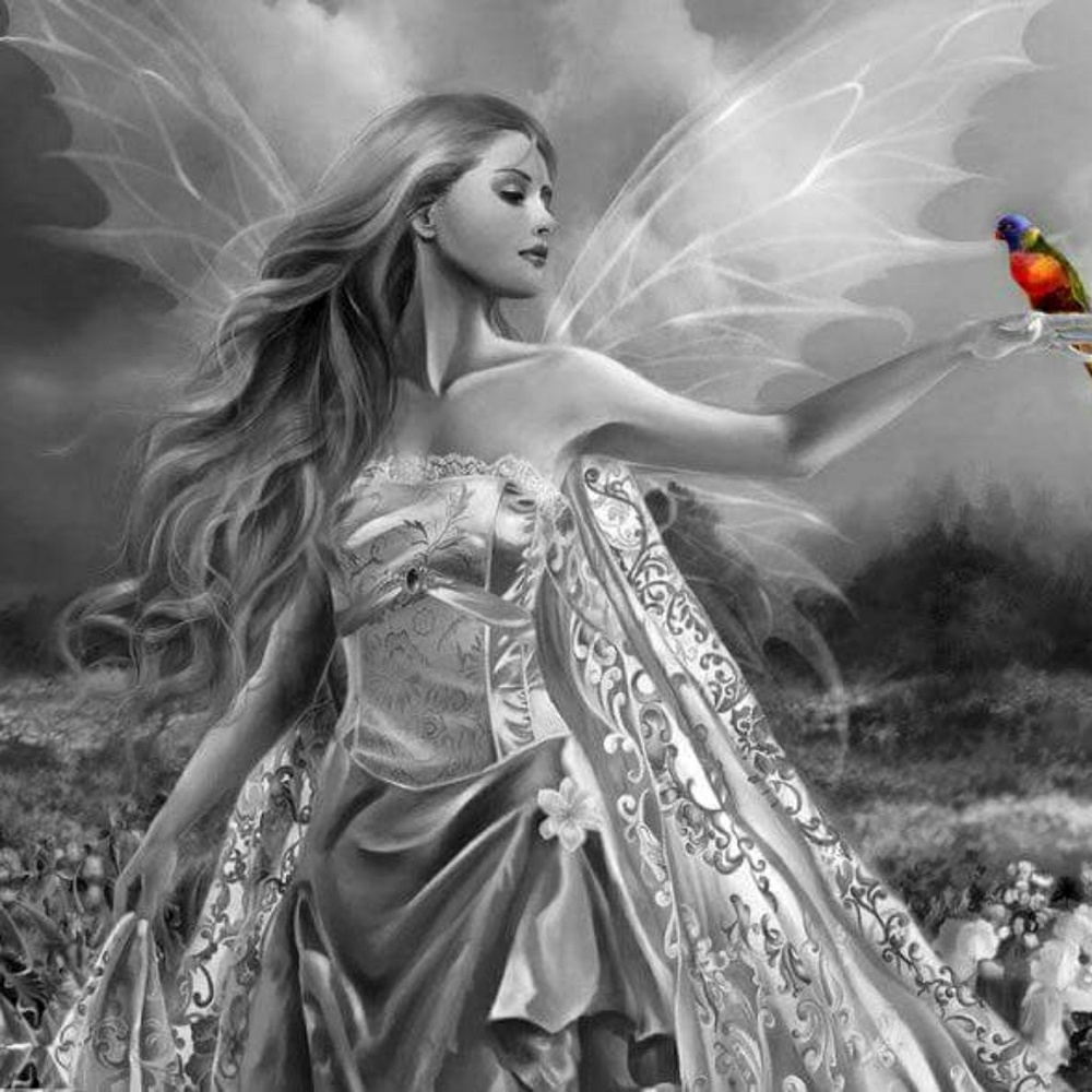 Meet your Posher, Evon